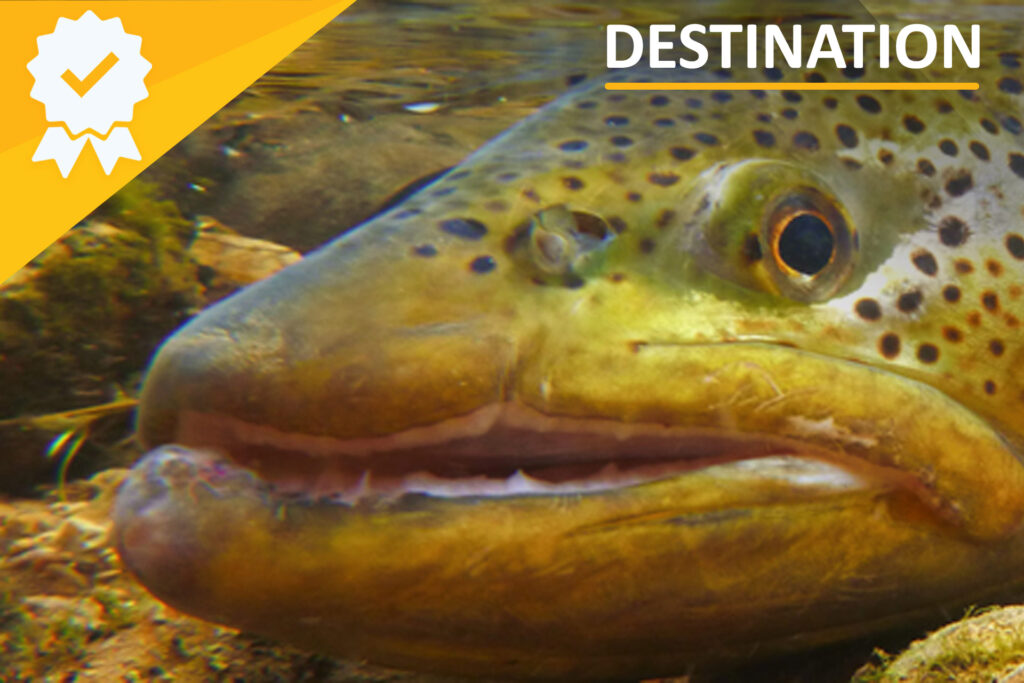 Lunds Fly Shop